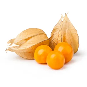 Sante Naturkosmetik 2in1 Base & Top Coat Over & Base Coat Vegan Organic Extracts 10 ml - Physalis.