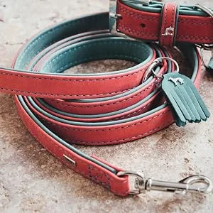 HUNTER Training leash Lucca 15/200 Cow nappa leather brown/mustard brown Medium - Lucca Adjustable Lead Red Rolled Up