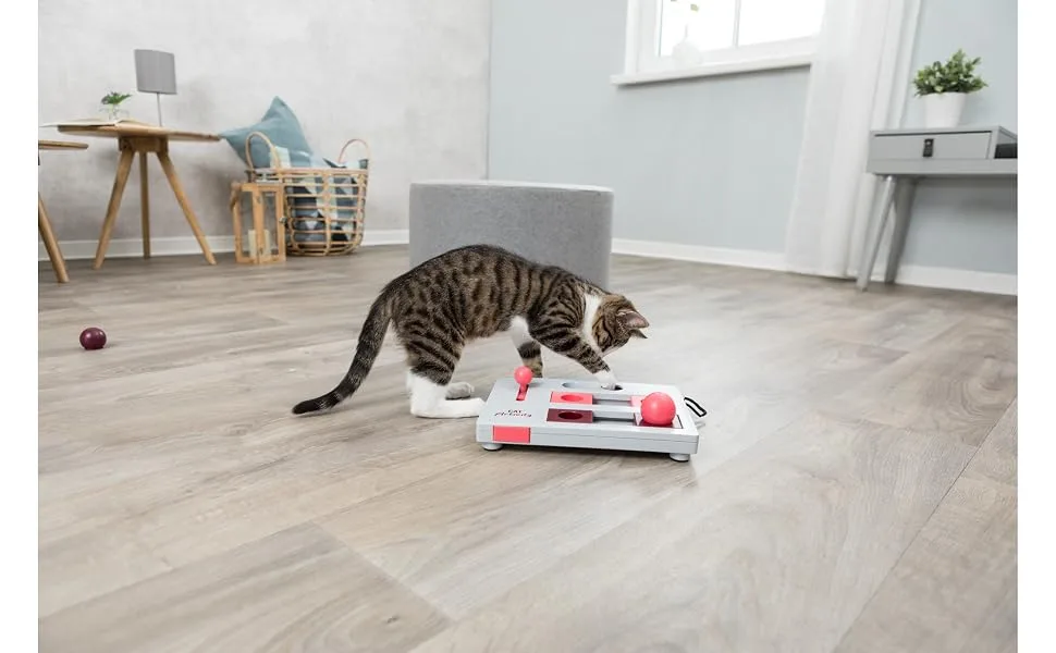 TRIXIE Cat Activity Brain Mover Strategy Game for Mental Stimulation Interactive Play for Cats Treat Dispenser Cat Toy Brain Mover Toy - image