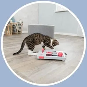 TRIXIE Cat Activity Brain Mover Strategy Game for Mental Stimulation Interactive Play for Cats Treat Dispenser Cat Toy Brain Mover Toy - image