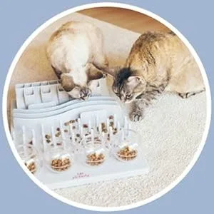 Trixie Cat Activity Fun Board 30 40 cm 1 Multi - image