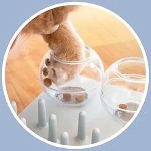 Trixie Cat Activity Fun Board 30 40 cm 1 Multi - image