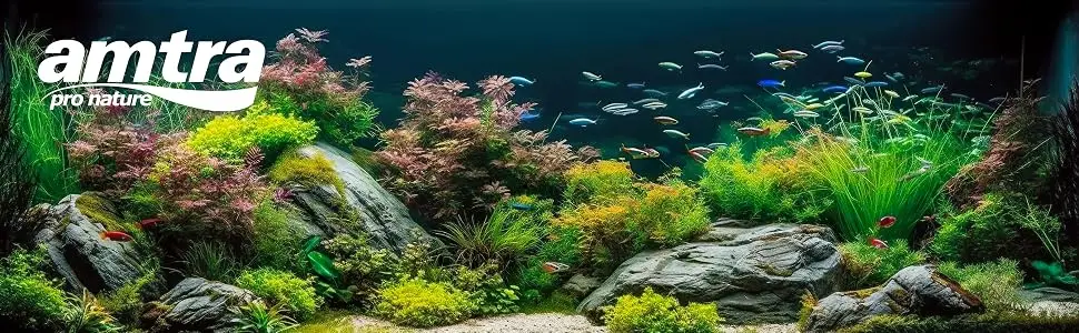 Amtra Polychrome - Natural aquarium gravel decorative soil sand and white gravel grains 3-4 mm 2 KG - Amtra base brand