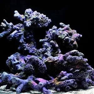Amtra Polychrome - Natural aquarium gravel decorative soil sand and white gravel grains 3-4 mm 2 KG - amtra environment