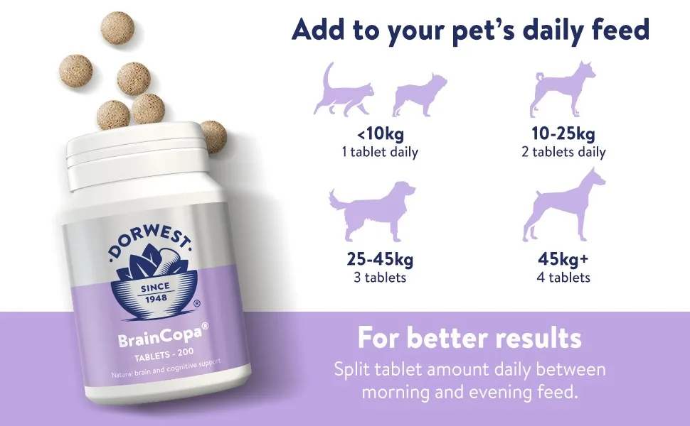 Dorwest Herbs BrainCopa Tablets for Dogs and Cats 100 Tablets - Helps naturally maintain brain health and mental agility for older pets - Dosage