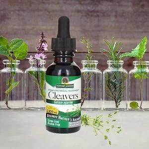 Nature's Answer Cleavers Galium Aparine  2000 mg 1 fl oz (30 ml) - Cleavers, Cleavers Extract, Cleavers Tincture, Cleavers Dropper, Cleavers Supplement, Cleavers