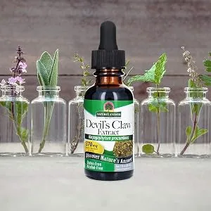 Nature's Answer Devil's Claw Extract Alcohol-Free 370 mg 1 fl oz (30 ml) - Devil