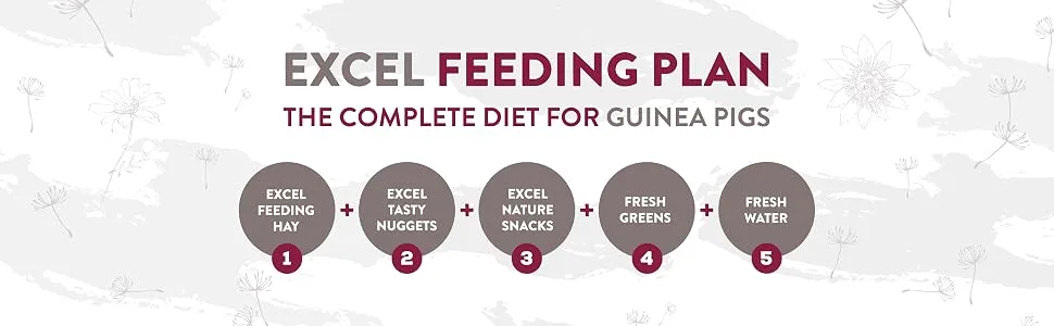 Burgess Excel Indoor Guinea Pig Nuggets 1.5 kg - Burgess Excel Feeding Plan