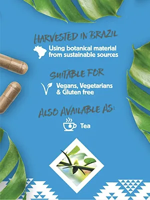 Rio Amazon Cat's Claw Bark 120 x 500mg Capsules - product information 2
