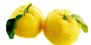 Biore Clear and Bright Yuzu Lemon + Dragon Fruit Resurfacing Scrub Exfoliator 100 ml - Yuzu Lemon