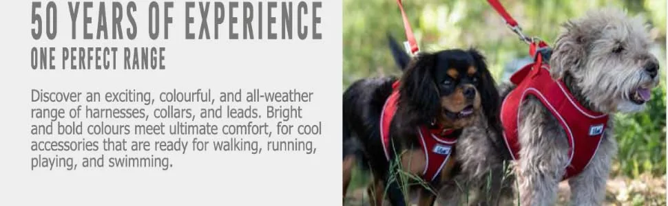 Ancol Viva Padded Harness Purple S 36-42cm - information on the viva range