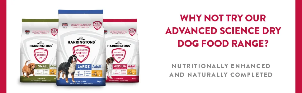 Harringtons Advanced Science Senior Dog Joint Care Supplements 150x Chews - High Source of Omega 3 Vitamin C & E Senior 150 chews - why not try our science dry food