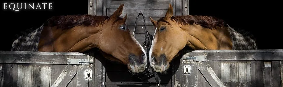 Equinate Superior Leather Stirrup Straps with Stainless Steel Buckles 130 Brown - Equinate.