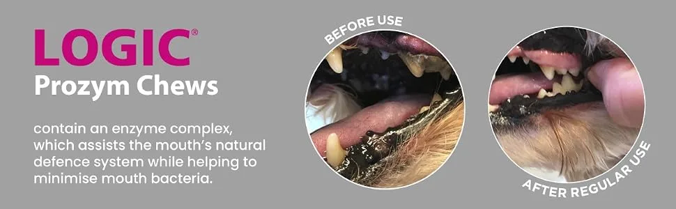 Logic Prozym chews small Neutral - Logic Before and After