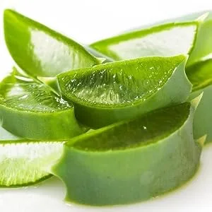 Espree Cat Clean Ear Treatment - aloe vera