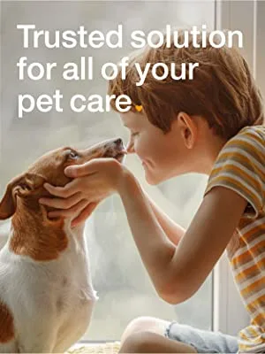 Arm & Hammer Tartar Control EZ Clean Bone with Toothpaste (Beef Flavor) L Yellow - Arm & Hammer, Dental Care, Dog