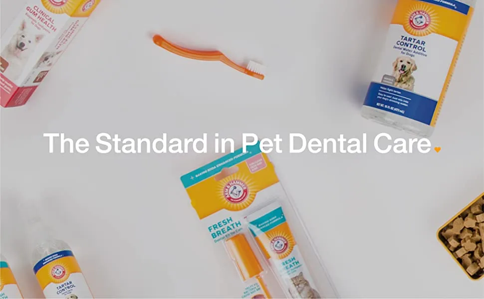 Arm & Hammer Tartar Control EZ Clean Bone with Toothpaste (Beef Flavor) L Yellow - Arm & Hammer, Dental Care, Dog