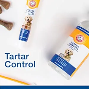 Arm & Hammer Tartar Control EZ Clean Bone with Toothpaste (Beef Flavor) L Yellow - Arm & Hammer, Dental Care, Dog