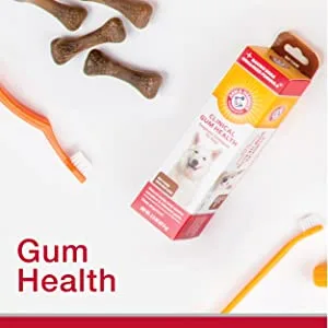 Arm & Hammer Tartar Control EZ Clean Bone with Toothpaste (Beef Flavor) L Yellow - Arm & Hammer, Dental Care, Dog