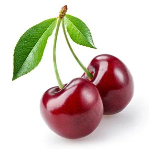 Vet's Best Bitter Cherry Anti-Chew Deterrent Spray 221ml - cherry