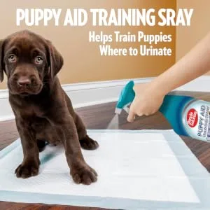 Simple Solution House-Training Aid for Puppies and Dogs - 500ml - train