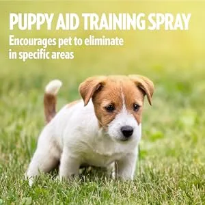 Simple Solution House-Training Aid for Puppies and Dogs - 500ml - train