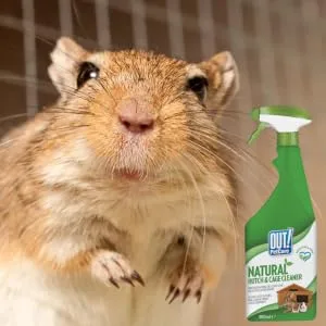OUT! Cage and Hutch Spray Cleaner 500 ml - hamster