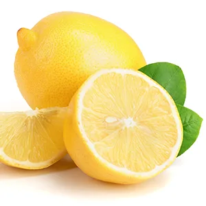 OUT! No Chew Deterrent 500 ml - lemon