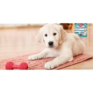 Simple Solution Puppy House Training Starter Kit - product information 6