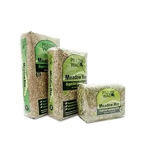 Pillow Wad Meadow Hay 1 kg clear - Hay all