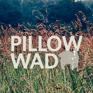 Pillow Wad Meadow Hay 1 kg clear - Pillow Wad Backdrops
