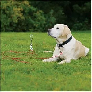Rosewood Yard Accessories Stake-Out Spike - product information 1