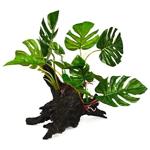 Lucky Reptile DW M Driftwood Medium M - Forest Wood Premium Medium