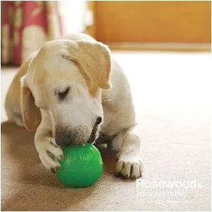 Starmark Bob-a-Lot Interactive Dog Toy Green Large - product information 1