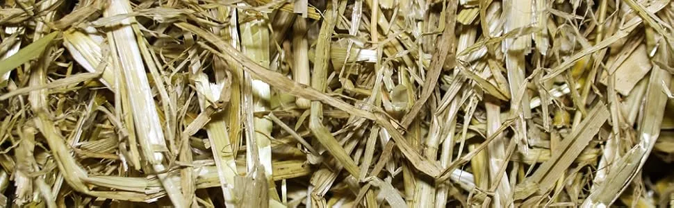 Pettex Barley Straw 800 g - Straw
