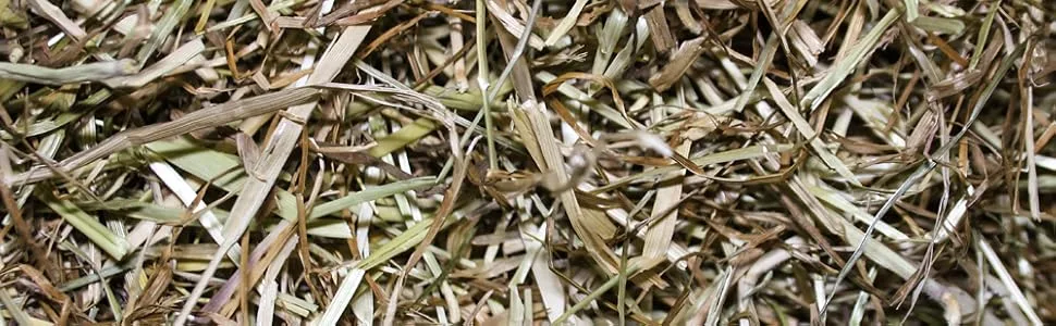 Pettex Meadow Hay 800 g - product information 5