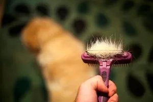 Rosewood Soft Protection Moult Stoppa Professional Grooming Brush for Dogs & Cats Small - product information 1