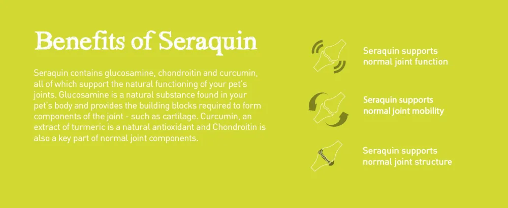 Seraquin Veterinary Joint Supplement with Turmeric for Dogs - 60 x 2 g Chewable Tablets - Benefits of Seraquin