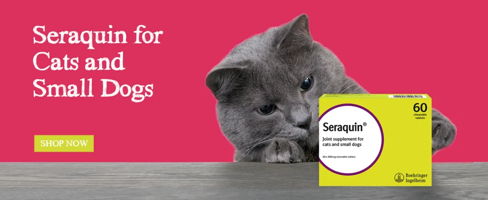 Seraquin Veterinary Joint Supplement with Turmeric for Dogs - 60 x 2 g Chewable Tablets - Seraquin for cats and small dogs