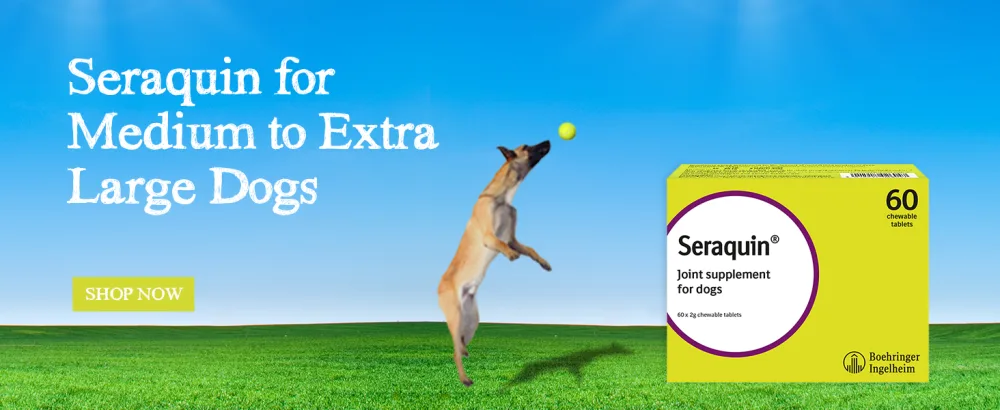 Seraquin Veterinary Joint Supplement with Turmeric for Dogs - 60 x 2 g Chewable Tablets - Seraquin for medium to extra large dogs