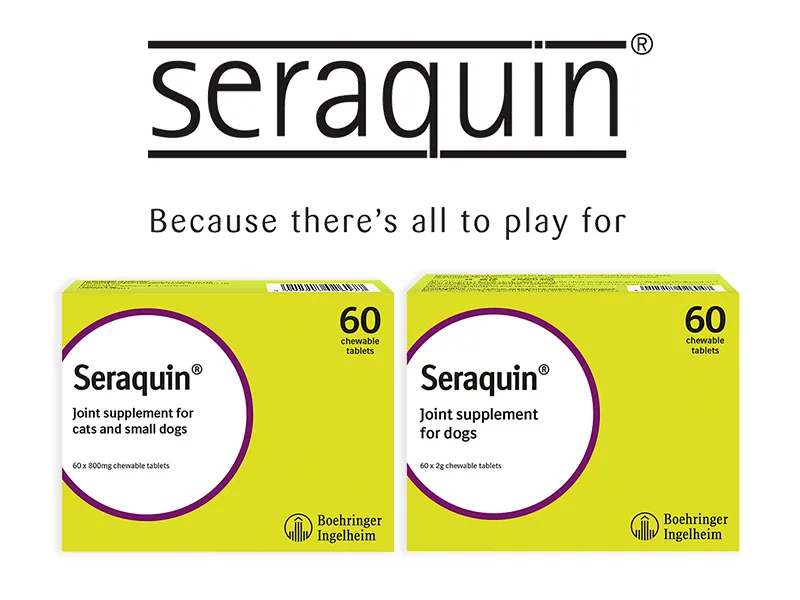 Seraquin Veterinary Joint Supplement with Turmeric for Dogs - 60 x 2 g Chewable Tablets - Seraquin joint supplement for cats and dogs products