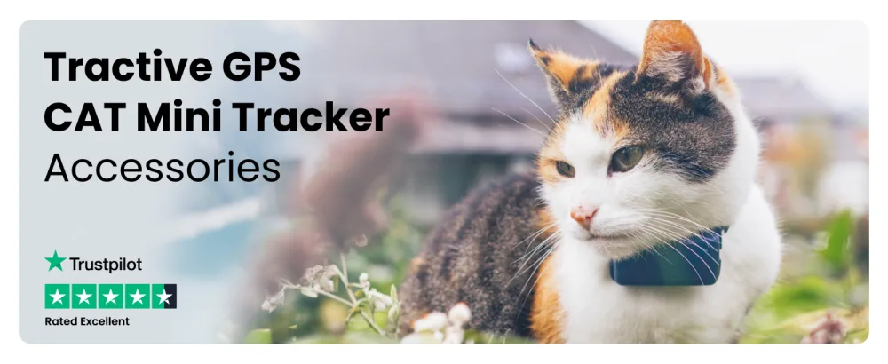 Tractive GPS CAT Mini Rubber Mount x2 One Size Rubber Mount - cat gps tracker
