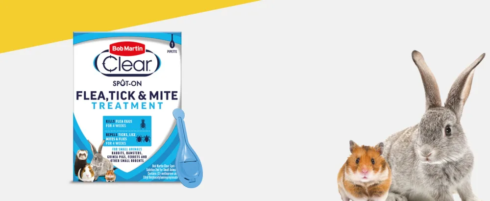 Bob Martin Clear Spot On Flea Treatment for Small Pets (Rabbits, Hamsters, Guinea Pigs & Ferrets) - Protect Against Fleas, Ticks, Lice & Mites (1 Pipette) - flea treatment for rabbits, hamsters, guinea pigs, ferrets and rodents