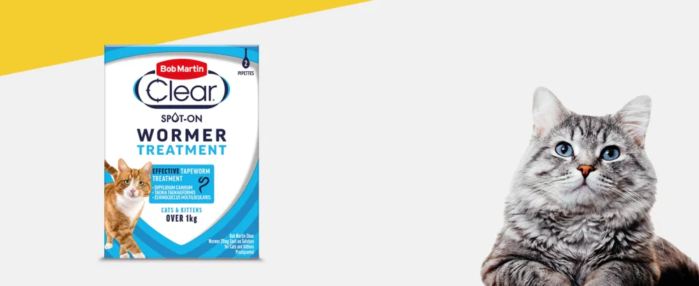 Bob Martin Clear Spot On Wormer for Cats and Kittens - 100 Percent Effective Tapeworm Treatment (2 Pipettes) - wormer for cats