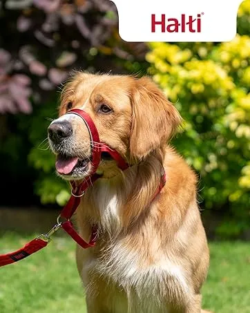 HALTI Optifit Headcollar Size Medium Dog Head Harness to Stop Pulling on the Lead Easy to Use Adjustable & Reflective Head Collar for Dogs Professional Anti-Pull Training Aid Black - Halti