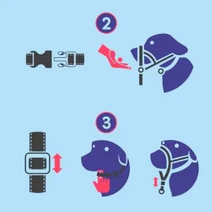 HALTI Optifit Headcollar Size Medium Dog Head Harness to Stop Pulling on the Lead Easy to Use Adjustable & Reflective Head Collar for Dogs Professional Anti-Pull Training Aid Black - Halti Optifit Headcollar - Step 2 and 3