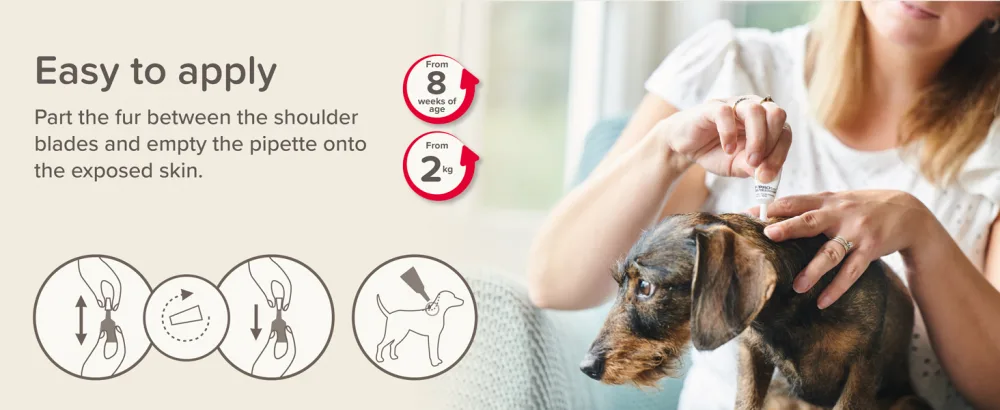 Beaphar | FIPROtec COMBO for Small Dogs (2 10kg) | Kills Fleas Flea Eggs & Ticks | Stops Fleas Multiplying on Pet and in Home | Vet Strength Treatment | 3 Pipettes - Easy to apply
