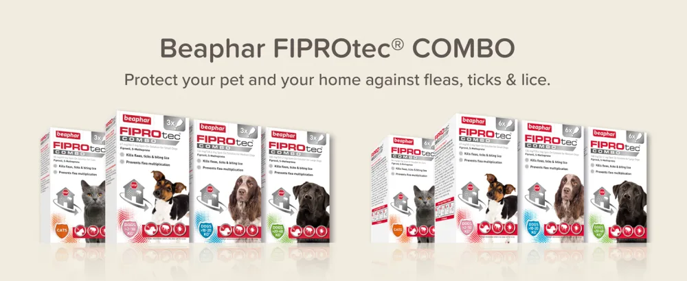 Beaphar | FIPROtec COMBO for Cats | Kills Fleas Flea Eggs & Ticks | Stops Fleas Multiplying on Pet & in the Home | Vet Strength Treatment | 1 Pipette - Beaphar FIPROtec COMBO