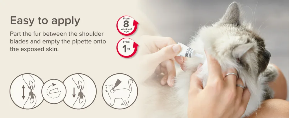 Beaphar | FIPROtec COMBO for Cats | Kills Fleas Flea Eggs & Ticks | Stops Fleas Multiplying on Pet & in the Home | Vet Strength Treatment | 1 Pipette - Beaphar FIPROtec COMBO for Cats, flea treatment, flea egg treatment, cat flea treatment