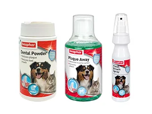 Beaphar | Toothbrush & Toothpaste Dental Care Kit for Puppies | Includes a Small-Headed Toothbrush and Liver-Flavoured Enzymatic Toothpaste 50g Tube - In-between Brushing